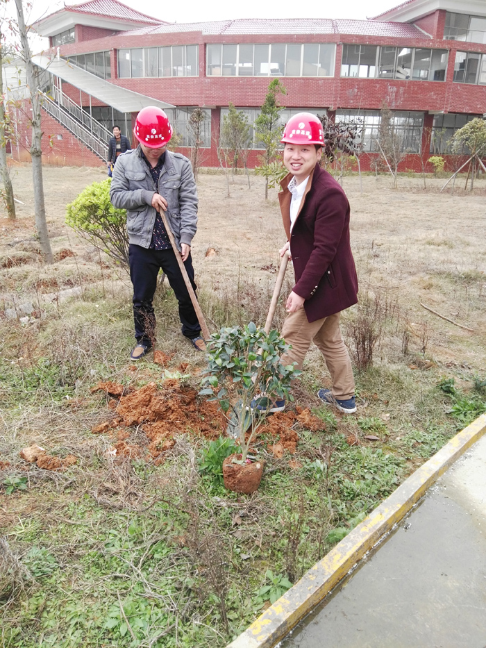 種一棵小樹，綠一方凈土